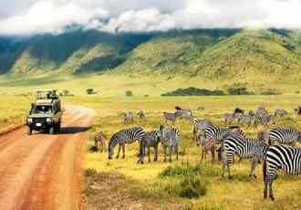 WILDLIFE ENCOUNTERS IN KENYA